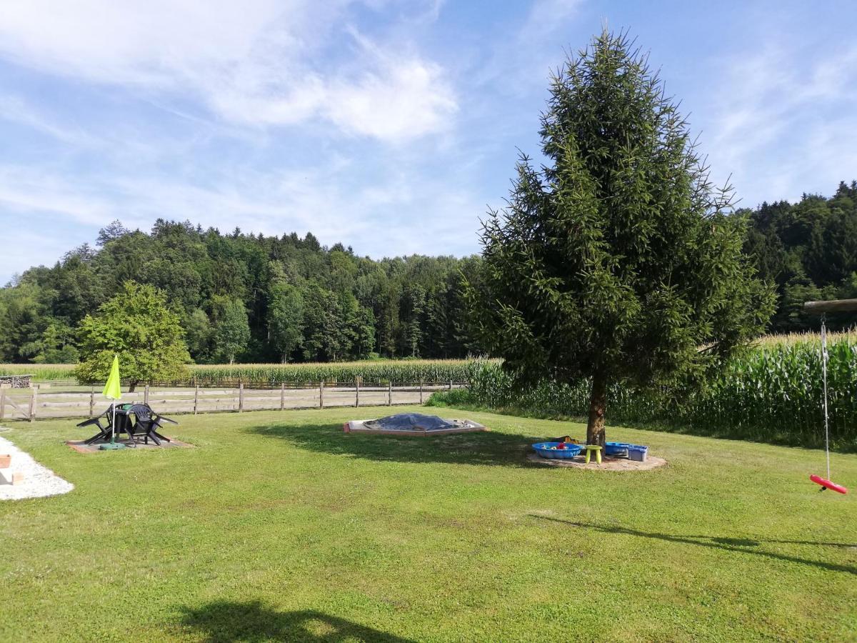 Ferienhaus Am Bach Kirchberg an der Raab 外观 照片